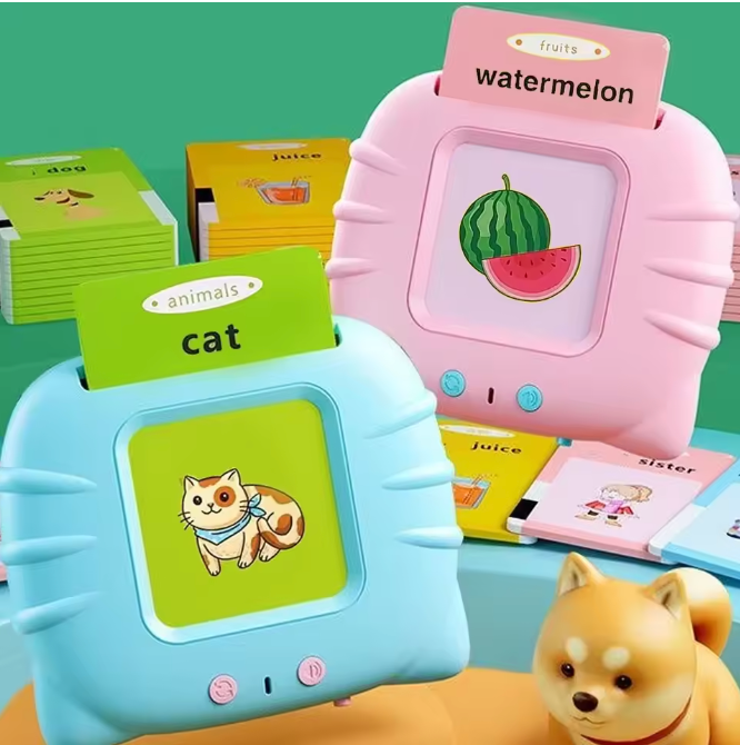 Talking Flashcard Learning Toy