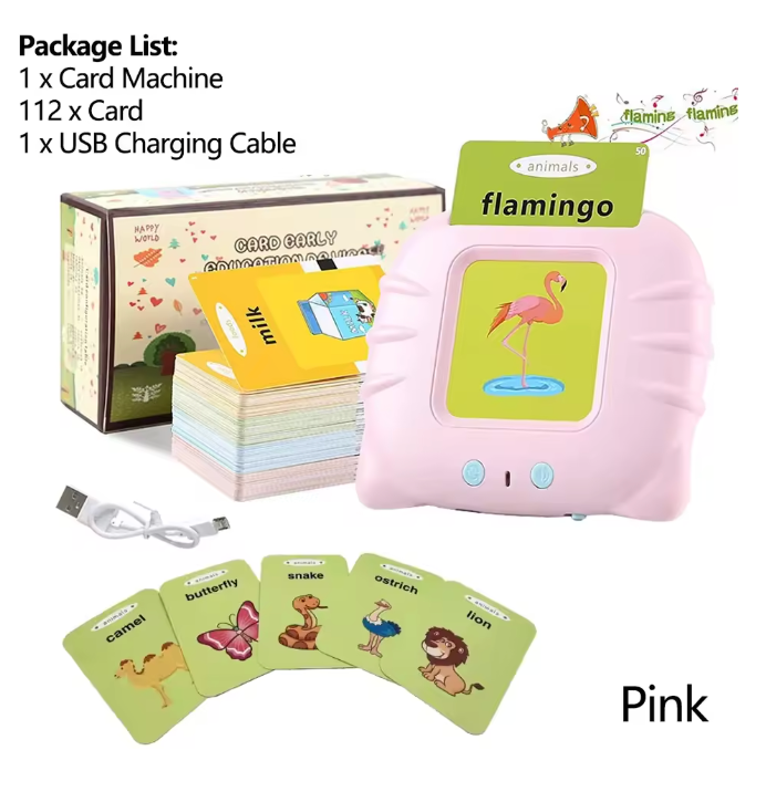 Talking Flashcard Learning Toy